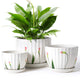 STHIE 4/5/6 Inches White Ceramic Plant Pots with Drainage Holes and Saucer