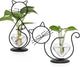 Plant Terrarium Plants Propagation Station Cat Lover Gifts for Women Home Office Decor Cat Desk Accessories