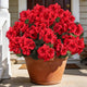 Artificial Flowers for Outdoors, 6 Bundles Realistic Silk Fake Red Geraniums, No Fade Faux Plastic Flowers for Outdoor Planters, Hanging Baskets, Window Boxes, Porch, Patio Decor