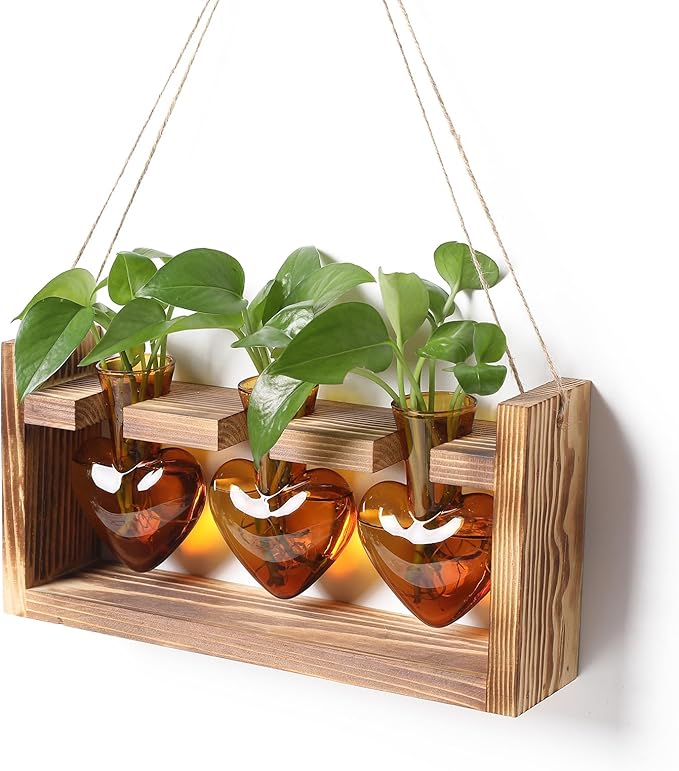 Plant Terrarium Propagation Stations Hydroponics Home Garden Decoration Gift for Women with Wooden Stand Heart Shaped Colored Glass Vase