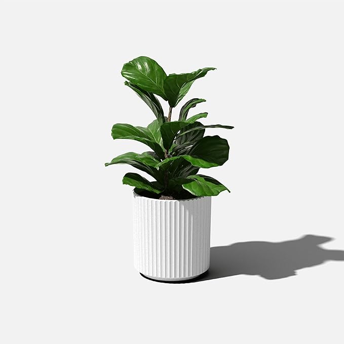 Veradek Demi Series Round Planter for Porch, Patio, Backyard | Durable Plastic-Concrete Material | Modern Décor for Tall Plants, Flowers