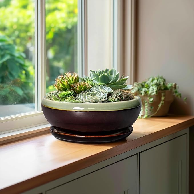 SQOWL Succulent Planters 10 Inch - Ceramic Bonsai Pots with Drainage Hole and Saucer, Shallow Indoor Planter, Round Succulent Pot, Bowl Planter Outdoor, Porch Decor, Gift for Plant Lover, Green-Brown