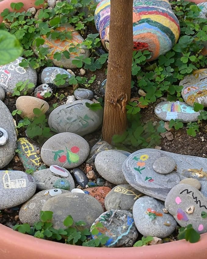 FAHAXIKI Natural River Rocks-10 lbs of Pebbles and River Stones,2-3 Inch Plant Rocks for Landscaping,Garden Paving,Crafting,Walkways,and Outdoor Decorative Stone,Mexican Beach River Rocks