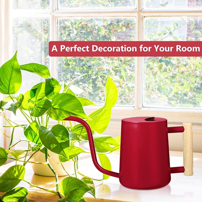 Watering Can Indoor Plants, 35oz Small Stainless Steel Metal Watering Can Modern Decorative Watering Pot with Long Spout for Indoor House Plant Bonsai Garden Flowers (Red)