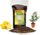 GARDENERA Premium Carambola Potting Soil Mix - Perfect Balance of Nutrients, Drainage, and Aeration for Thriving Starfruit Trees - 4 Quart