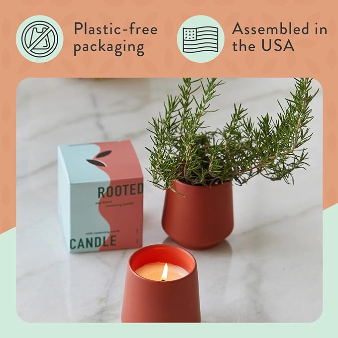 Modern Sprout Rooted Candle - 2 in 1 Cucumber Scented & Soy Candle with Seeds That Grows into Rosemary Plant - 6 oz w/ 42 Hr Burn Time in Matte Glaze Ceramic Vessel Ideal for Indoor Herb Garden