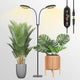 GLOWRIUM Grow Lights for Indoor Plants, Full Spectrum LED Grow Light Floor Lamp with Stand Adjustable Height and Angle, Black Plant Light with 3/9/12H Grow Light Timer (Black, 36W)