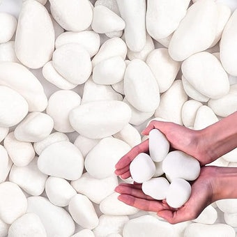 Lechloris 10Ib Snow White River Rock-Decorative Stones-Pebbles for Indoor Plants-Rocks for Outdoor Landscaping 1-2 inch High Polished Stones for Aquarium, Home Decor,Garden Decor