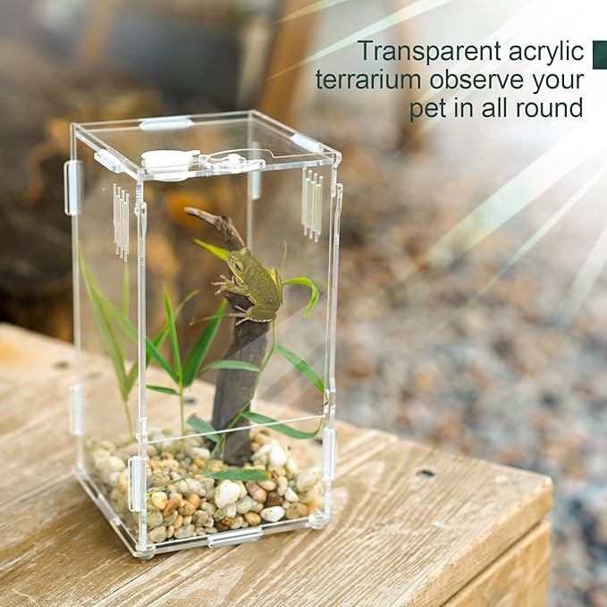 BETAZOOER Acrylic Mini Reptile Tank Habitat Transparent Terrariums with Locking Latch Suitable for Tarantula Isopod Roach Invertebrates (4''x4''x8'')