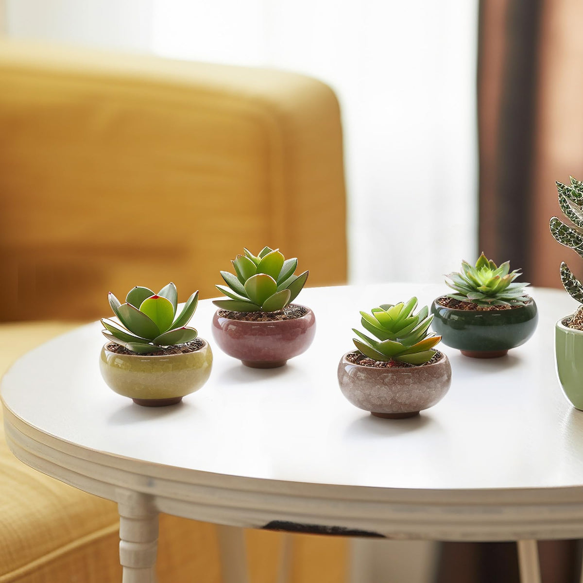 T4U Mini Succulent Pots, Small Shallow Ceramic Pots, Retro Gift Set of 6