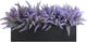 Winlyn 14" Artificial Lavender Arrangement Faux Lavender Flowers in Rustic Black Wooden Planter Box Realistic Lavender Potted Plant for Gift Farmhouse Home Wedding Table Centerpiece Mantel Shelf Décor