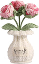 YOOJEE Crochet Rose Flower Potted Plant – Pink, Valentines Day Gift for Her, Handmade Knitted Romantic Desk Decor