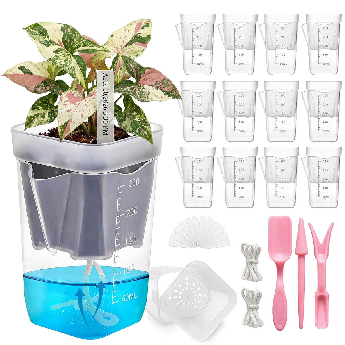 HITOSTAR 12 Pack 2.5 Inch Mini Clear Self Watering Pots for Indoor Plants, Small Plastic Planters with Drainage, Hydroponic Nursery Propagation Cups, for African Violet Alocasia Pot (2.5Inch, 12Pack)