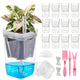 HITOSTAR 12 Pack 2.5 Inch Mini Clear Self Watering Pots for Indoor Plants, Small Plastic Planters with Drainage, Hydroponic Nursery Propagation Cups, for African Violet Alocasia Pot (2.5Inch, 12Pack)