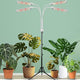 Secefeao Grow Lights for Indoor Plants Full Spectrum, LED Plant Light with Stand, Adjustable Height, Plant Grow Lights with Auto 4/8/12/H Timer for Indoor Tall Plants(420 LEDs-White)