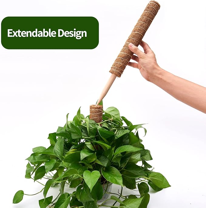 6 Pcs Moss Pole Extending to 68 Inches for Plants Monstera, Plant Support Stakes for Indoor Climbing Plants Grow Upwards, with 65ft Twist Ties, 13ft Jute Rope, 6.5ft Hook-and-Loop Strip