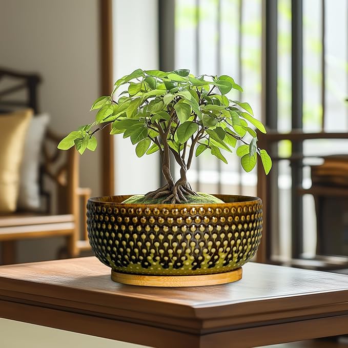 EPFamily Bonsai Pots 8 Inch - Ceramic Planter for Indoor Plants, Succulent Pots with Drainage Hole and Plant Tray, Modern Round Decorative Flower Planters, Home Decor, Brown & Green