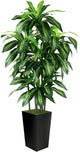 Artificial Dracaena Tree Indoor, 6FT Tall Fake Tree with Black Tall Planter, Artificial Trees Fake Yucca Potted Tree for Home Office Living Room Decor, Tall Artificial Plant for Housewarming