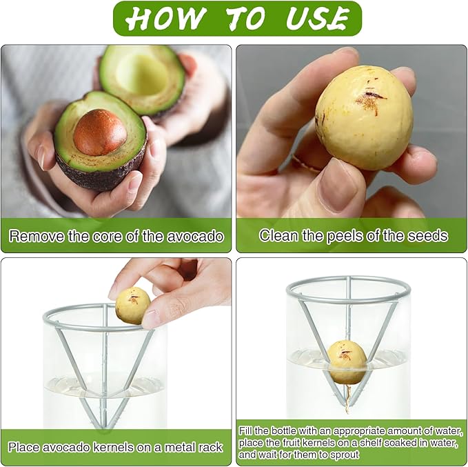 Bylion Avocado Tree Growing Kits, Avocado Growing Vase Wooden Base Avocado Seed Starter Vase Glass Plant Pot Easy Seed Sprout Starter Gift for Women Gardening Lovers Home Office Table Decoration