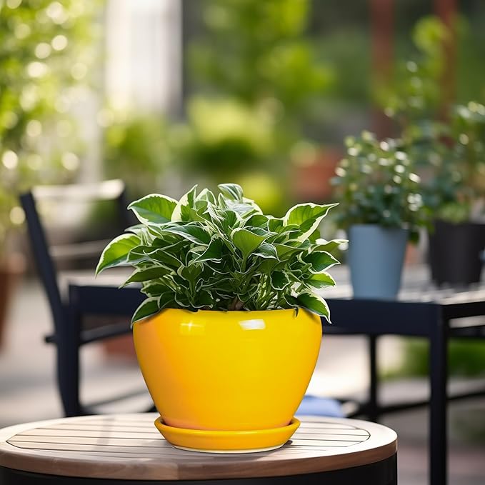 Ceramic Pot for Plants - 6 Inch Plant Pot Glaze Modern Decorative Round Planter with Drainage Hole and Saucer for Home Patio Room Office House Decor, Yellow