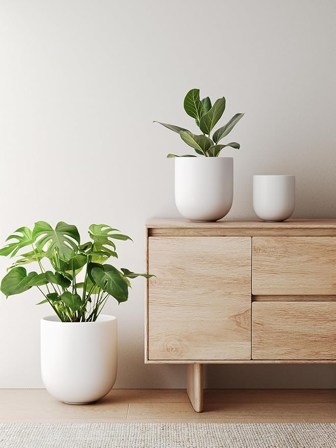 LE TAUCI 10 Inch Plant Pot, Ceramic Pots for Plants with Drainage Hole and Rubber Plug, Plant Pots Indoor for Olive Tree, Cylinder Planter Pot for Home Patio Office, White