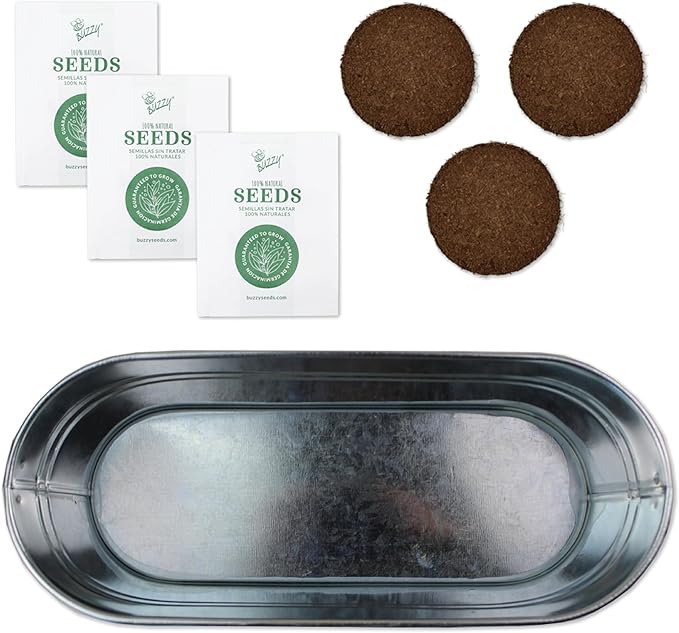 BUZZY Seeds Margarita and Mojito Windowsill Mini Garden Grow Kit, Herb Starter Set with Mint, Lime Basil and Lavender Seeds, Grow Your Own Herbs Indoors, Gardening Gift, Holiday Present