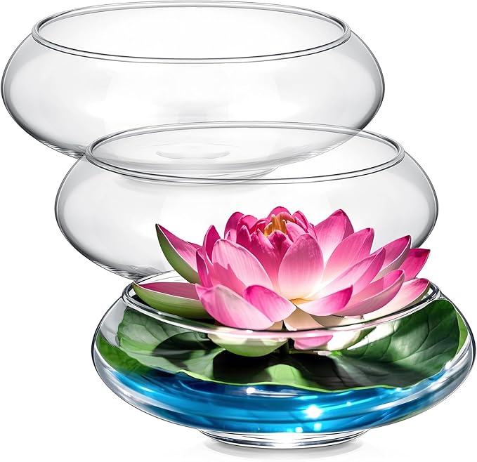 Baderke 3 Pcs Hydroponic Planter Lotus Flower Pot Planter Lotus Bowl Clear Glass Fish Bowl Vase for Planting Indoor Home Decor Water Lily Narcissus Planting Water Lily (9.84in)