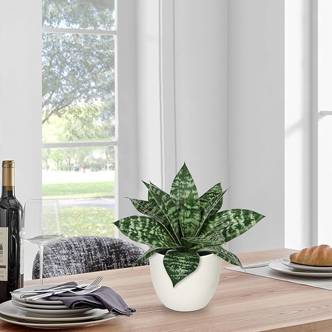 Hollyone Artificial Snake Plants 9" Faux Agave Succulent Plant Potted in White Pot Fake Sansevieria Aloe Tropical Plant for Desk Modern Office Home Bathroom Indoor Outdoor Decor