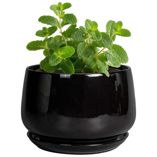 G EPGardening Small Ceramic Planter - 4 Inch Succulent Pots with Drainage Hole & Sacuer, Flower Pots for Indoor Outdoor Plants, Modern Decorative Round Planter, Room Decor, House Warming Gifts, Black
