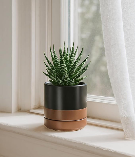 D'vine Dev 4.7 Inch Ceramic Planter Pot with Drainage Hole and Saucer, Indoor Cylinder Round Planter Pot, Black/Speckled Tan, 94-O-B-7