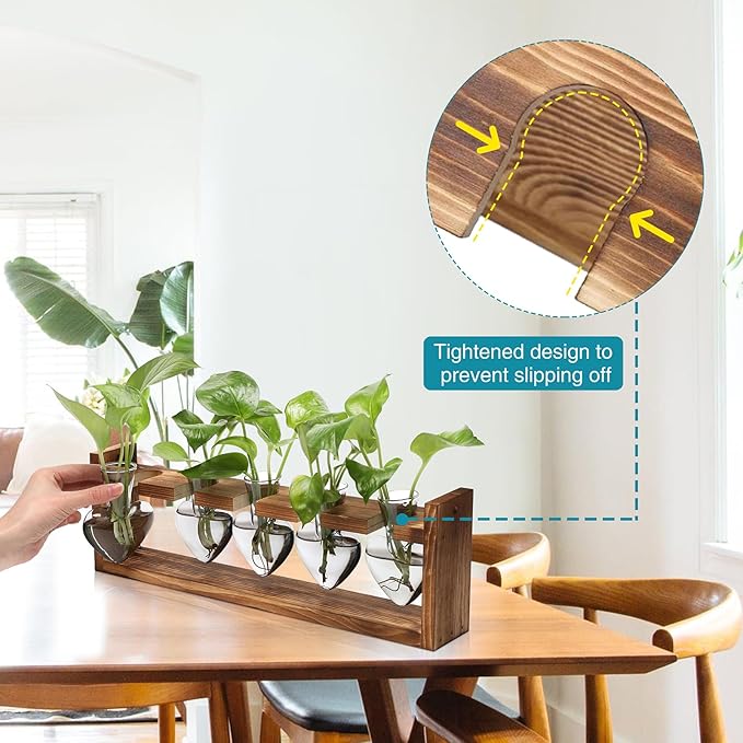 Plant Terrarium Hanging Propagation Stations Gift for Women Air Plants Holder with Wooden Stand Heart Glass