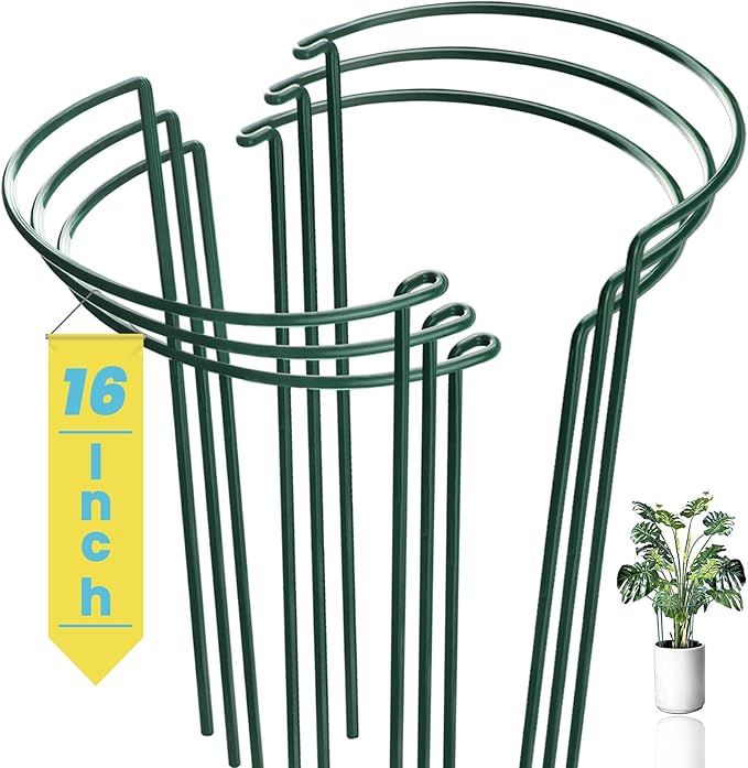 6-Pack Snake Plant Support Stakes, Half-Round Peony Cages and Supports, Green Plant Support Ring - Sturdy and Durable for Indoor and Outdoor Potted Plants, Such as Amaryllis, Peony, Hydrangea