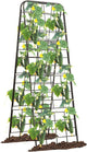 Heavy Duty 50"x17" Adjustable A-Frame Trellis for Climbing Plants – Rust-Proof Metal Garden Trellis with Dense Grid Design, Perfect for Raised Beds, Tomatoes, Cucumbers & Outdoor Vines (Black, 1 Pcs)