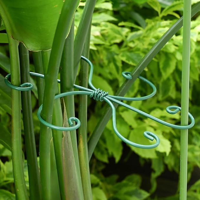 Monstera Plant Stem Support - 5 Pack 6.5"x6.5" Green Metal Stem Stabilizers, Adjustable Ring Clamps for Indoor Plants, Fishbone Cactus, Turtle Shell Bamboo & Climbing Vines