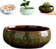 JWShang Lotus Bowl Planter for Planting in Water Indoors, Round Ceramic Lotus Flower Pot, Outdooor Garden Decorative Leak-Proof Bonsai Bowl for Lotus Seeds, Water Lily, Succulents (Green)