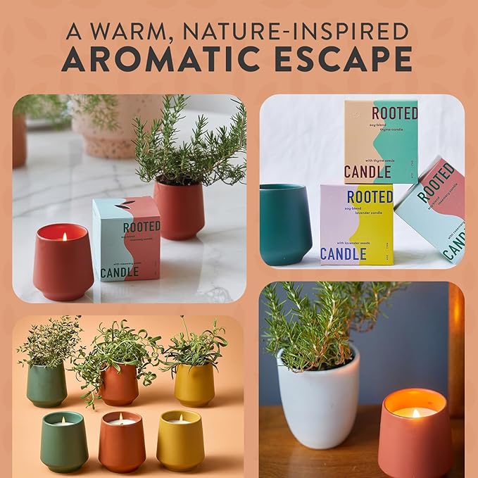 Modern Sprout Rooted Candle - 2 in 1 Cucumber Scented & Soy Candle with Seeds That Grows into Rosemary Plant - 6 oz w/ 42 Hr Burn Time in Matte Glaze Ceramic Vessel Ideal for Indoor Herb Garden