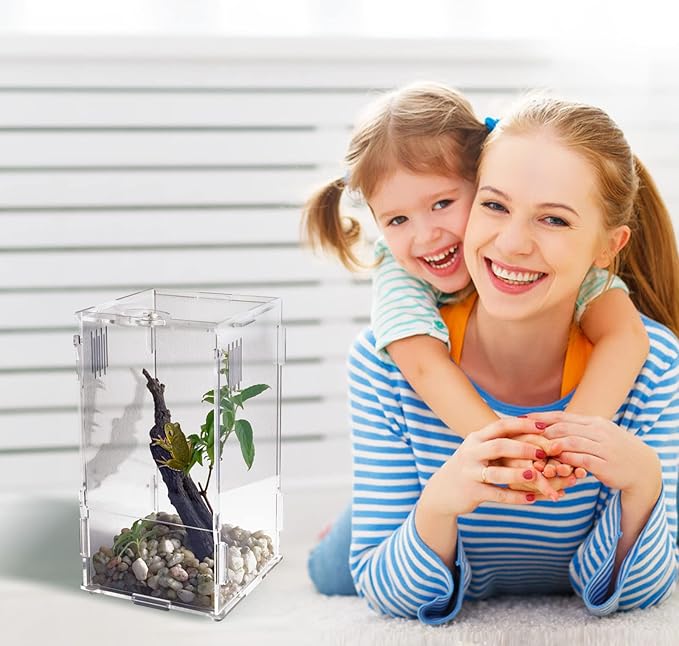 BETAZOOER Acrylic Mini Reptile Tank Habitat Transparent Terrariums with Locking Latch Suitable for Tarantula Isopod Roach Invertebrates (4''x4''x8'')