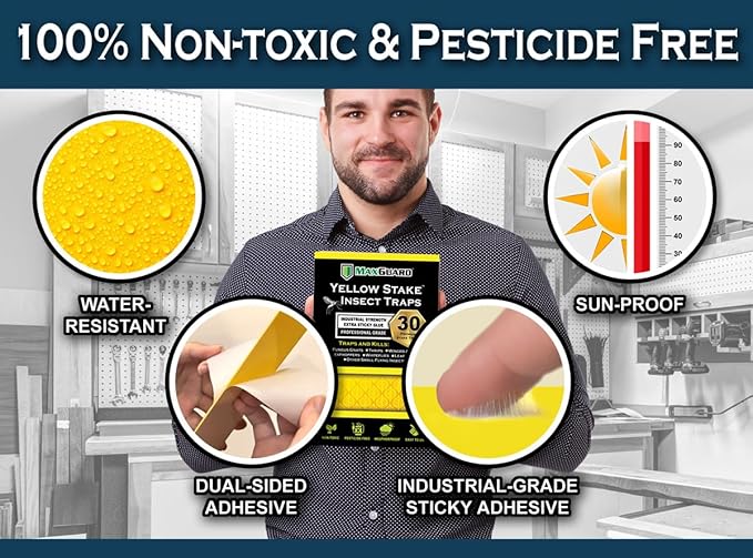 MAXGUARD (30 Pack) Yellow Stake Sticky Insect/Bug Traps - Catch and Kill Fungus Gnats, Whiteflies, Mosquitos, Aphids, Leaf Miners, Flying Insect Catcher Glue Trappers for Indoor or Outdoor