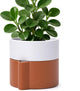 6.5 Inch Self-Watering Planter Pot with Terracotta Insert, Deep Water Reservoir, and Ceramic-Alike BPA-Free Plastic Pot for Plant, Modern Planter for Houseplants, Terracotta/White, 53-B-S-6