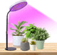 IAFENGE Desk Grow Light, 288 LEDs Red Blue White Full Spectrum Plant Light for Indoor Plants,3490 Lumen Indoor Grow Lamp,3 Modes for Plants Greenhouse Veg Bloom Light