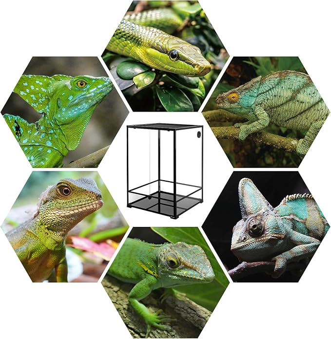 REPTIZOO 90 Gallon Reptile Terrarium 24" x 24" x 36" Large Glass Reptile Tank, Tall Terrarium with Front Opening Door and Top Screen Ventilation Easy Assembly Habitat Tank