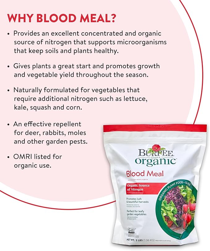 Burpee Organic Blood Meal Fertilizer | Add to Potting Soil | Excellent Natural Source of Nitrogen | for Tomatoes, Spinach, Broccoli, Leafy Greens | 3 lb, 1-Pack