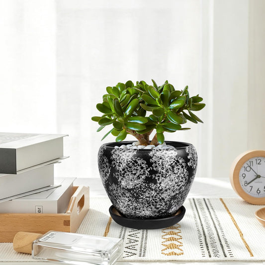 Ceramic Plant Pots With Saucer & Drainage, 6 inch Indoor Flower Pots