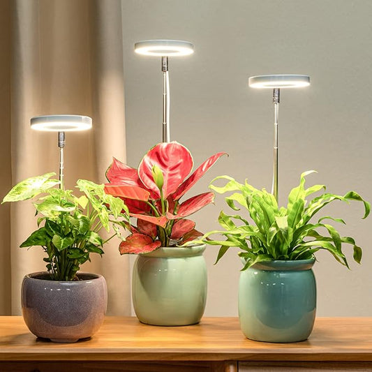 LORDEM Grow Light, Full Spectrum LED Plant Light for Indoor Plants, Height Adjustable Growing Lamp with Auto On/Off Timer 4/8/12H, 4 Dimmable Brightness, Ideal Small Pack of 3, Warm White