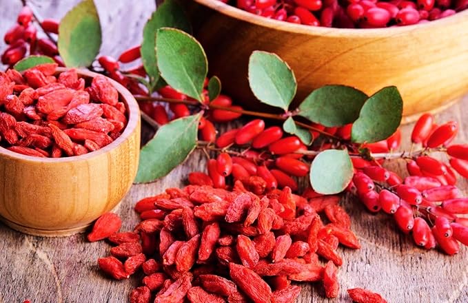 TomorrowSeeds - Goji Berry Tree Seeds - 1200+ Count - for 2026 Planting Lycium Chinense Superfood Wolfberry Asian Wellness Red Flowering Edible Perennial Fruit Trees Perennial Grow Your Own Home Farm