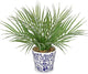 Hollyone Large Artificial Potted Plants Fake Palm Plants 13" Faux Green Plant Plastic Tropical Palm Tree in Blue and White Porcelain Ceramic Pots for Home Room Office House Indoor Decoration