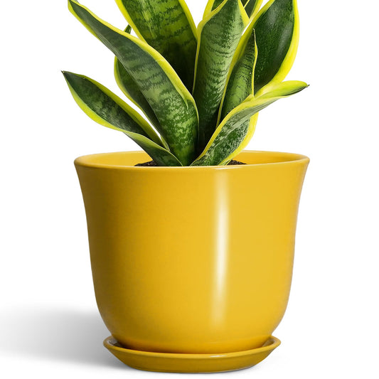SUNPOTFOR Ceramic Pots for Plants - 8 Inch Plant Pot for Indoor Outdoor, Round Planter with Drainage Hole and Tray, Decorative Flower Pot, Modern Planter, Home Patio Decor, House Warming Gift, Yellow