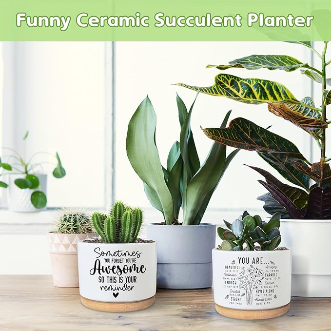 You are Beautiful Succulent Plant Pot, Cute 3.5 Inch Ceramic Pot, Inspirational Christian Desk Windowsill Pots for Small Plants, Cactus Gifts Plant, Religious Planter(No Plants)