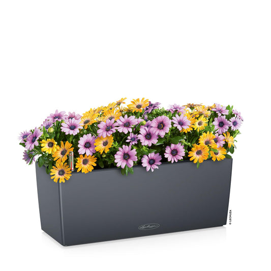 Lechuza BALCONERA Color 50 Slate, Self-Watering Window Box (Railing Planter), H7.5 L19.7 W7.5 in