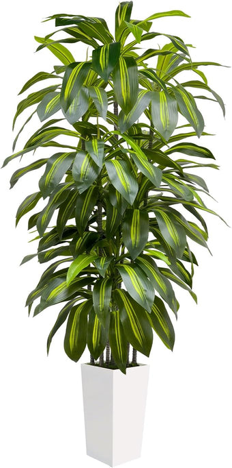 6FT Fake Tall Plant Artificial Dracaena Tree Indoor Faux Plants Indoor Luxury Fake Plants for Living Room Decor Artificial Tree Floor Plant White Planter